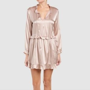 Anine Bing Taupe pink  Ruffle Silk Dress Size Small